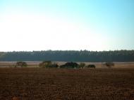 Бодячів з panoramio.com