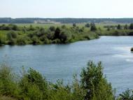 Нетреба з panoramio.com