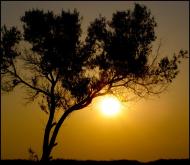 Знам'янське з panoramio.com