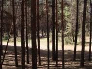 Ківшарівка з panoramio.com