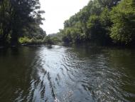 Сафонівка - Останні фото