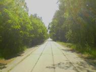 Ревунів Круг з panoramio.com