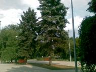 Кремінець з panoramio.com