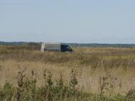 Горошине з panoramio.com