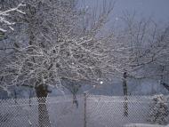 Червоне - Останні фото