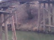 Поляна Дністер