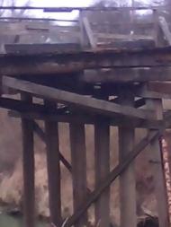 Поляна - Останні фото