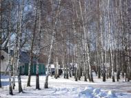 Природа і сільське життя