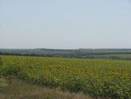 Кам'яний Брід з panoramio.com