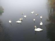 Мальовничі куточки рідного міста.