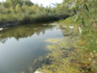 Славне місто Чернігів