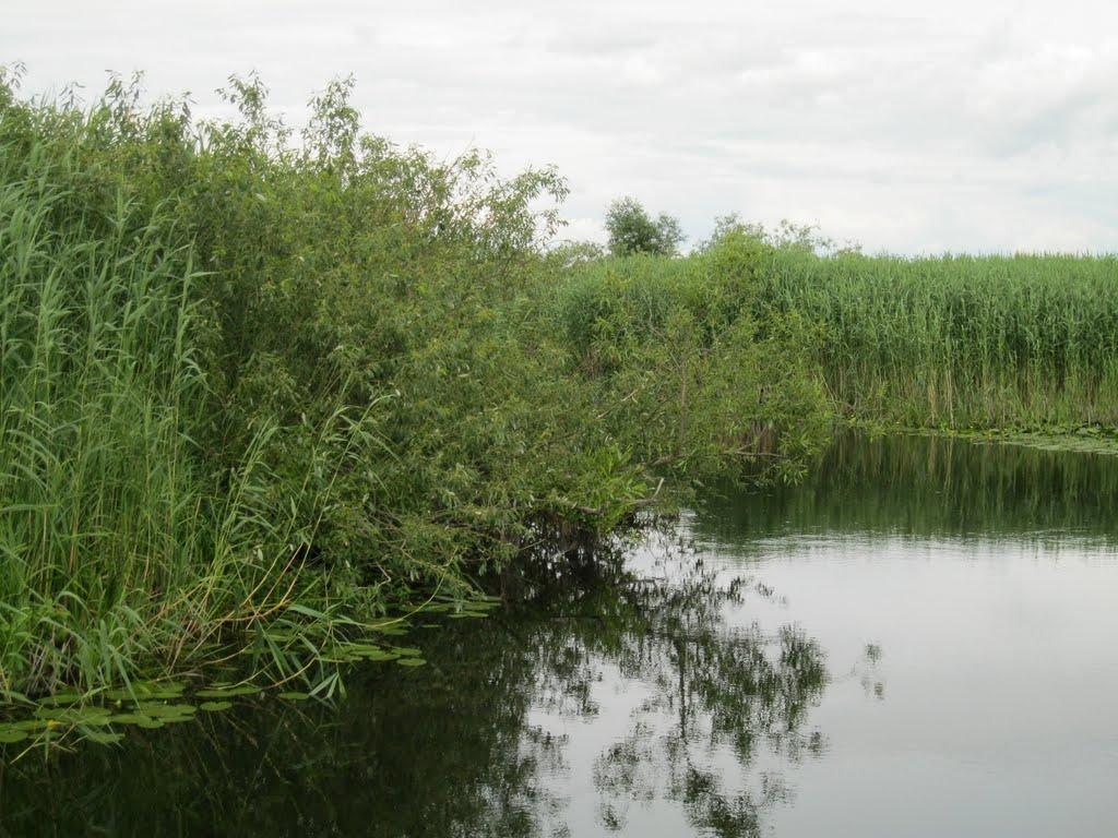 Хотешів з panoramio.com - Хотешів