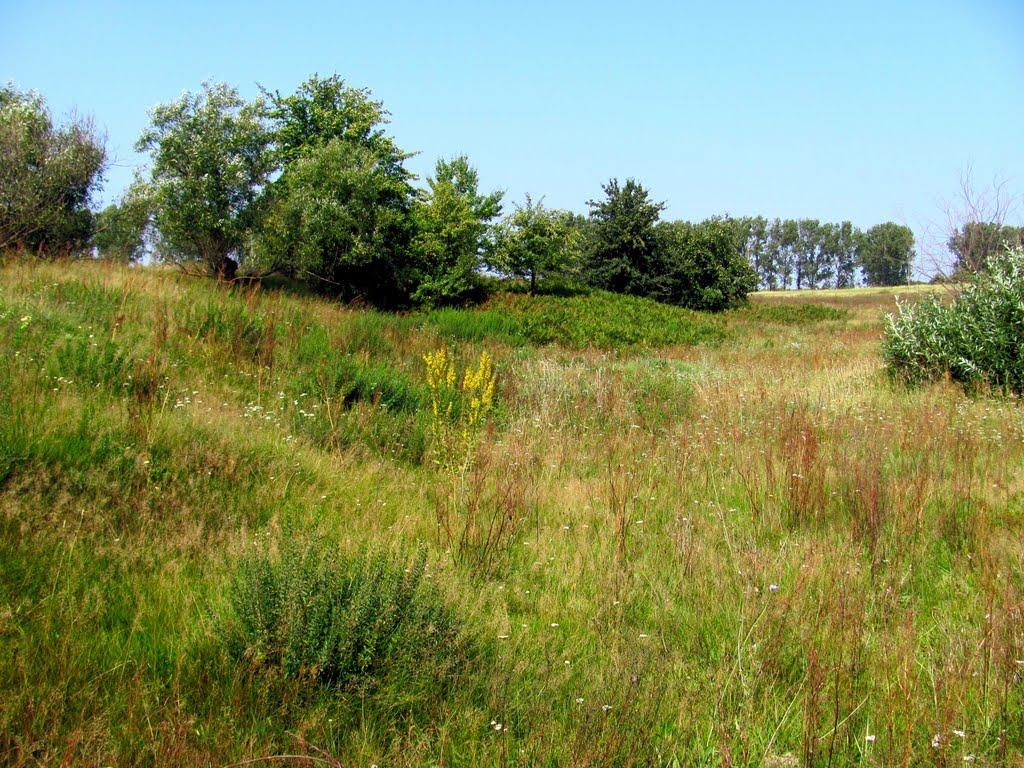 Нетреба з panoramio.com - Нетреба