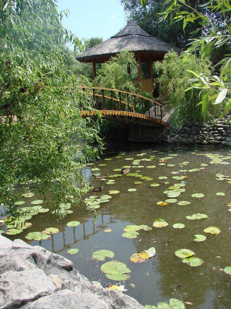 Вилкове з panoramio.com (ч.2) - Vylkove