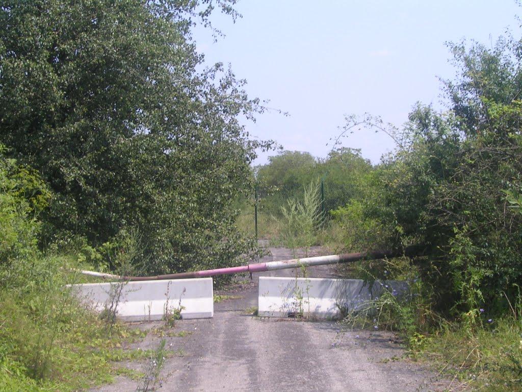 Соломоново з panoramio.com (ч.2) - Solomonovo