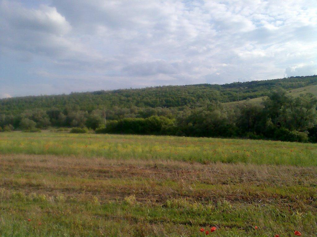 Гонората з panoramio.com - Гонората