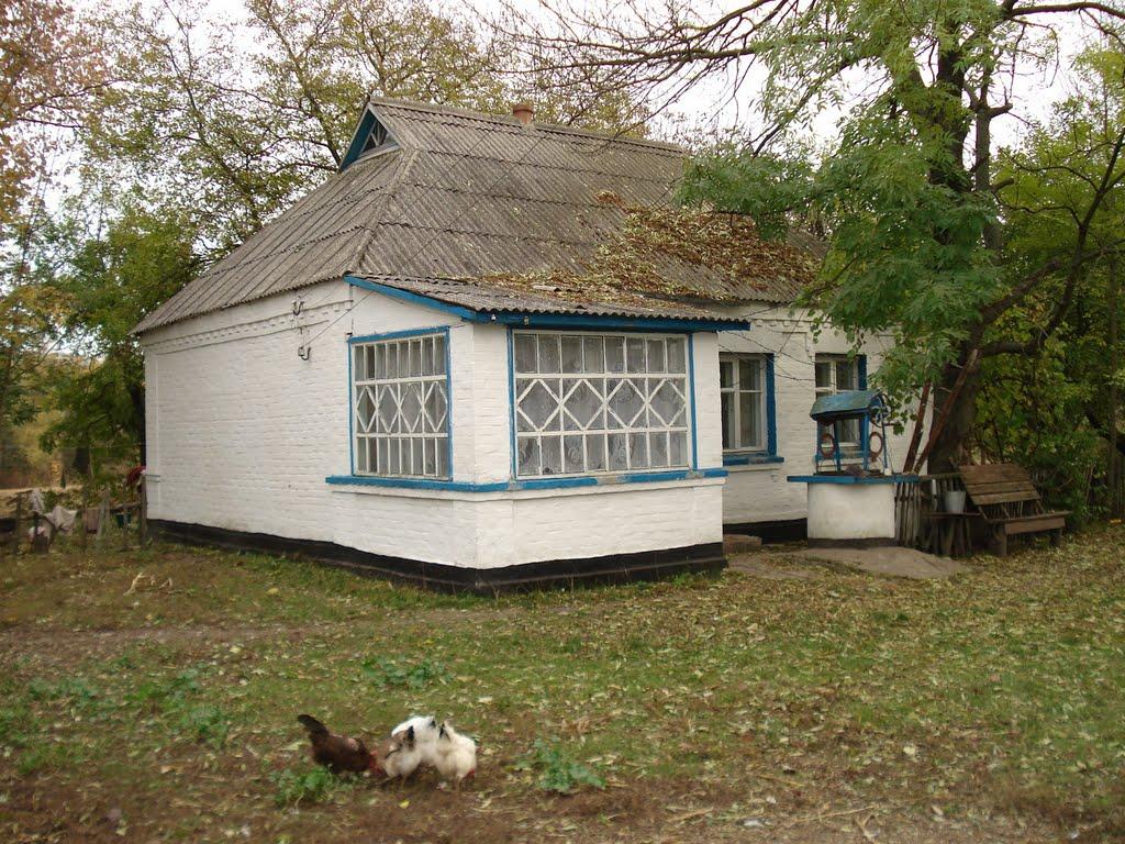 Трихуторівка з panoramio.com - Трихуторівка