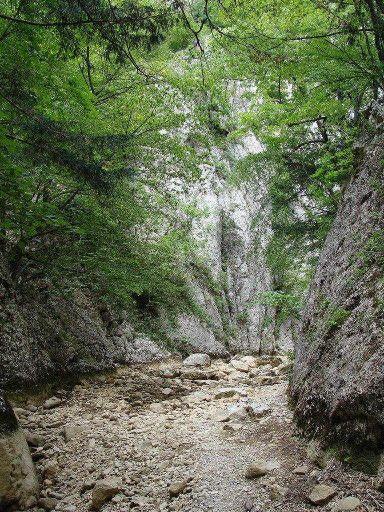 Многоріччя з panoramio.com - Многоріччя