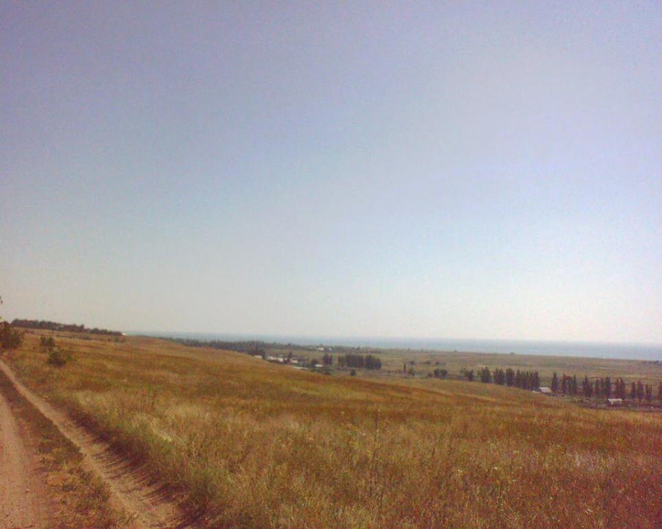 Виноградне з panoramio.com - Виноградне