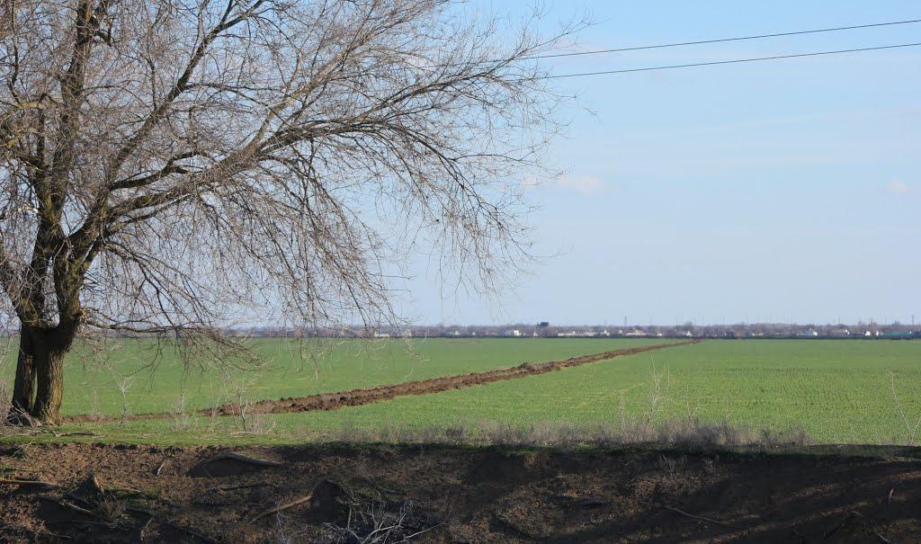 Роздольне з panoramio.com - Роздольне