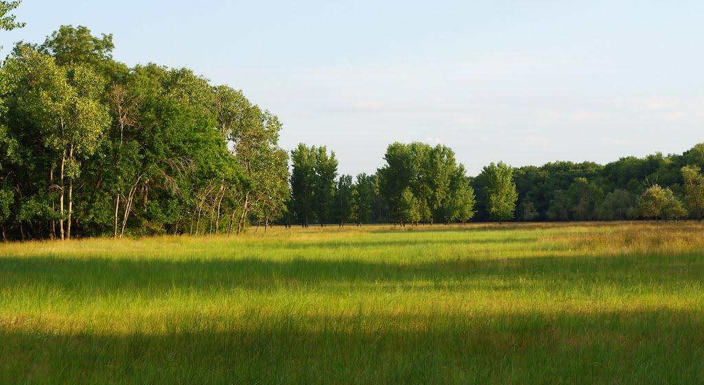 Вилкове з panoramio.com (ч.2) - Вилкове