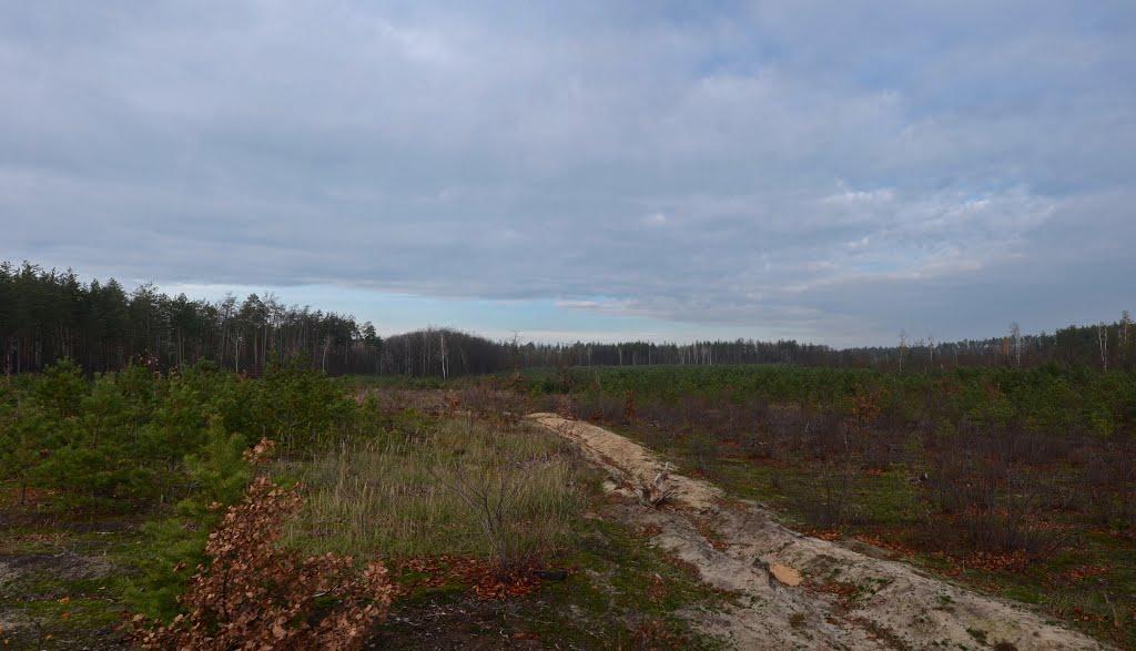 Горенка з panoramio.com - Горенка