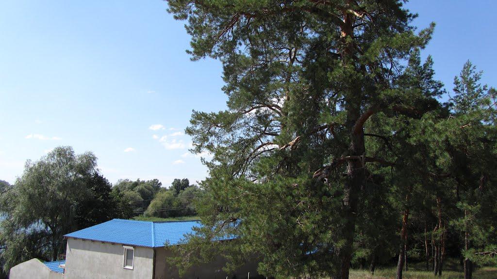 Щурове з panoramio.com - Щурово