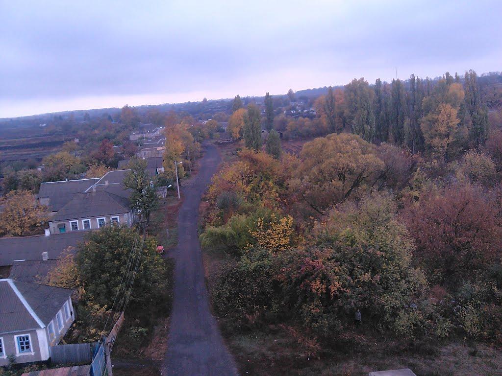 Червона Поляна з panoramio.com - Червона Поляна