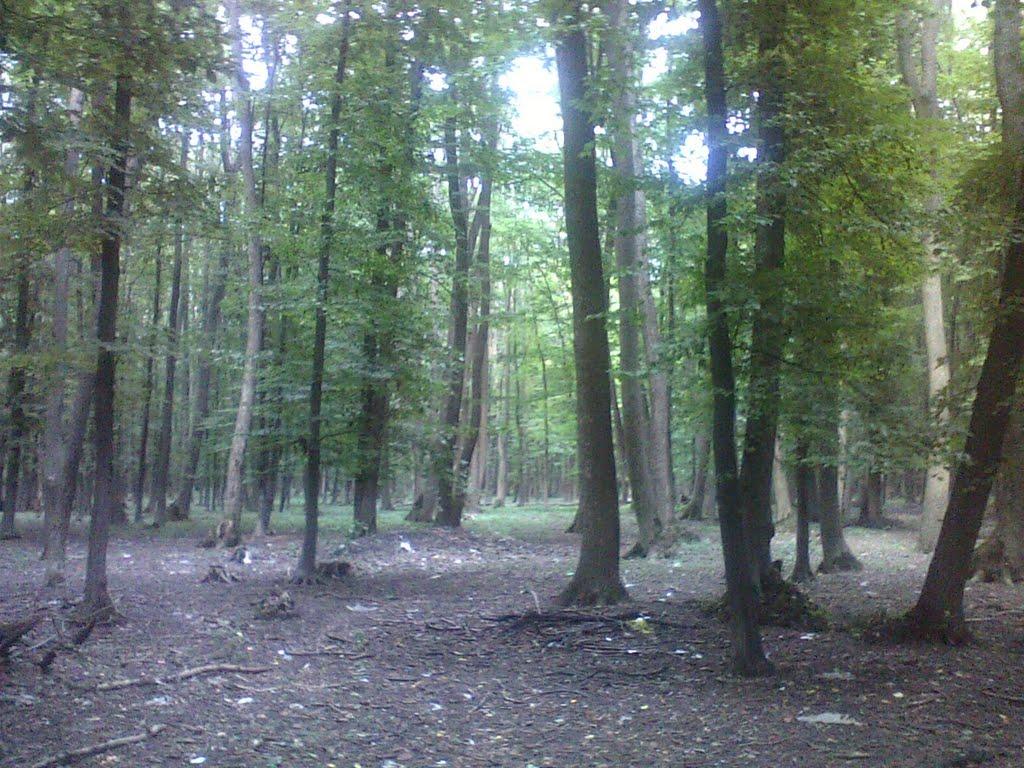 Сатанівка з panoramio.com - Сатанівка