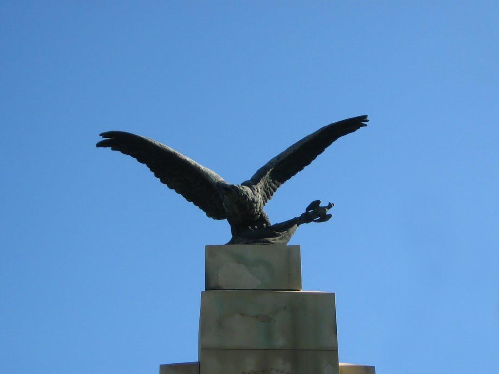 Рені з panoramio.com - Рени