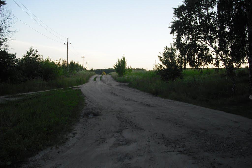 Старий Салтів з panoramio.com - Старый Салтов