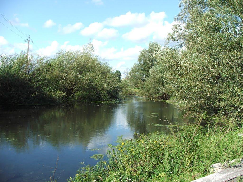 Великий Любінь з panoramio.com - Великий Любінь