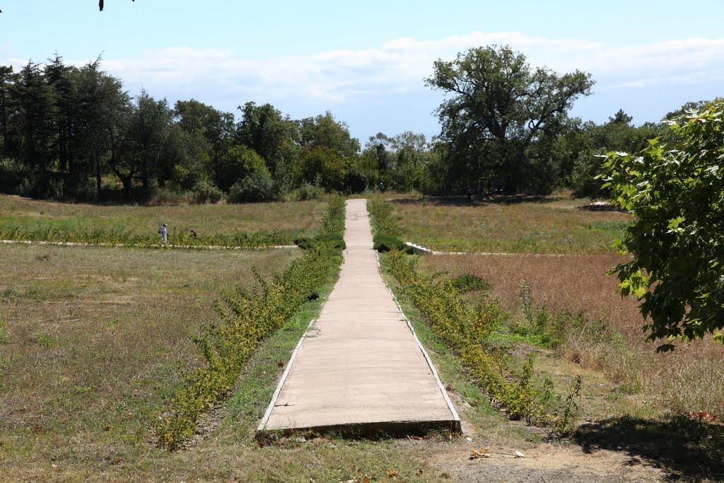 Масандра з panoramio.com - Masandra