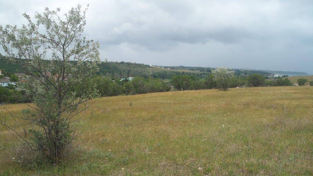 Любимівка з panoramio.com - Любимовка