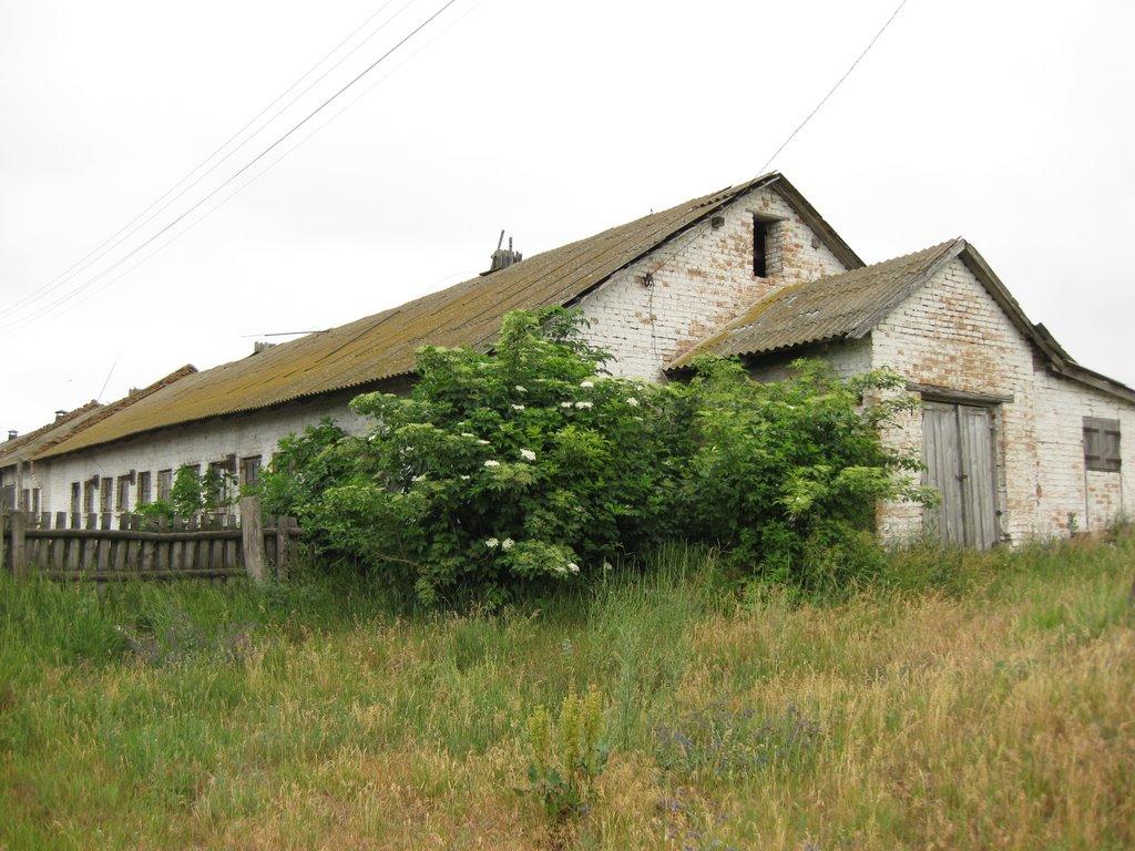 Розсошинці з panoramio.com - Rozsoshyntsi