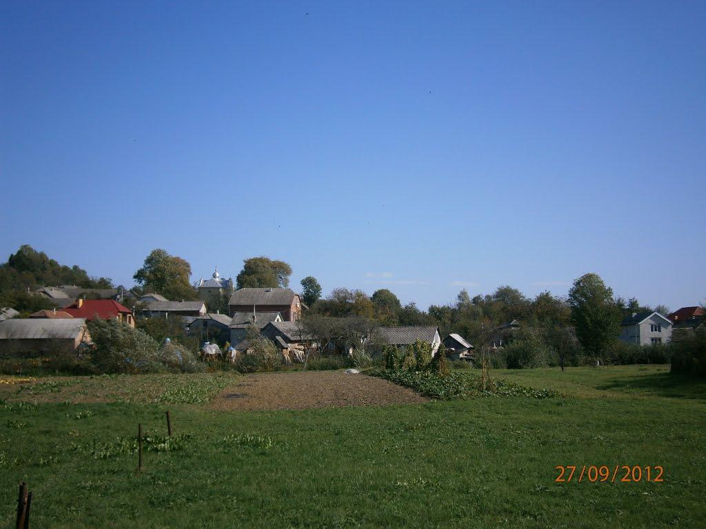 Берездівці з panoramio.com - Берездовцы