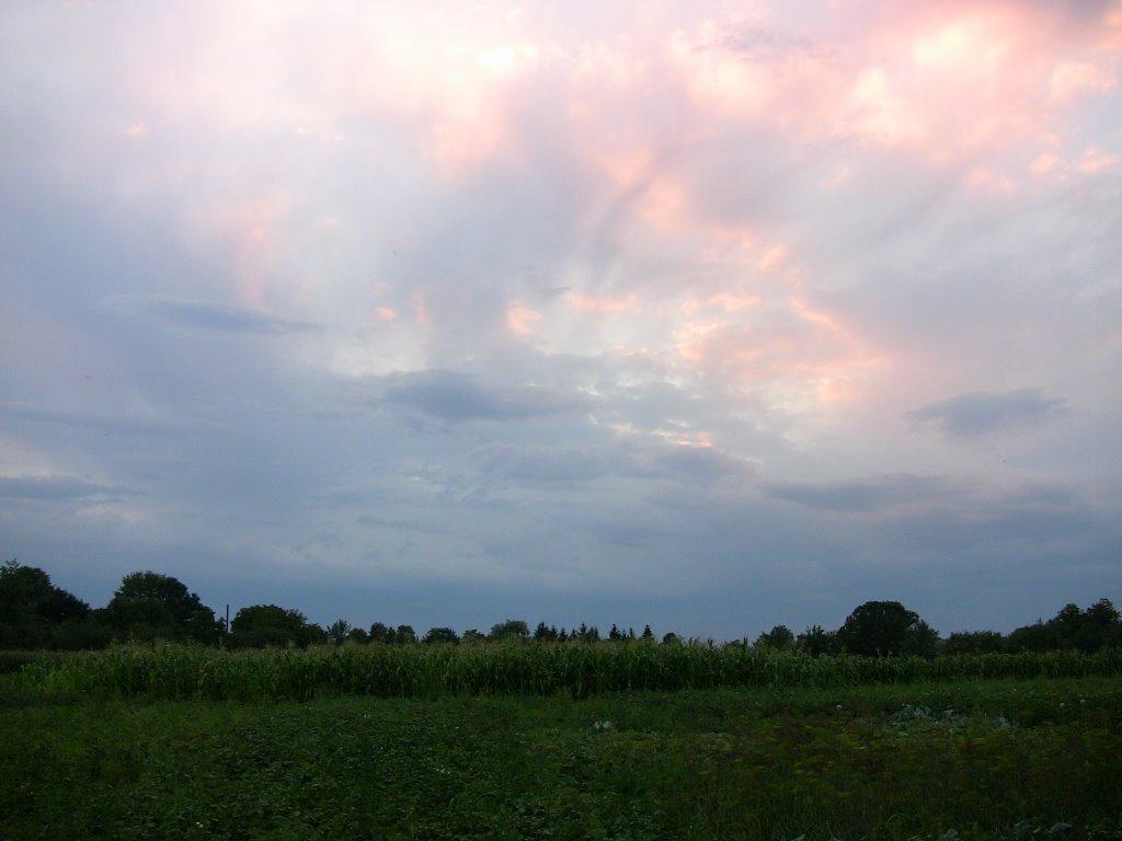 Кривець з panoramio.com - Кривець