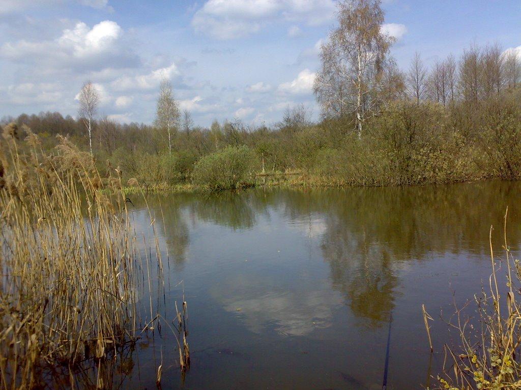 Чорноплатове з panoramio.com - Чорноплатове