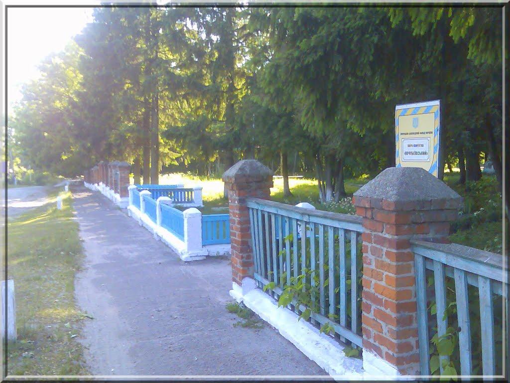 Дубовичі з panoramio.com - Dubovychi