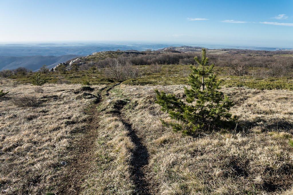 Розовий з panoramio.com (ч.2) - Розовый