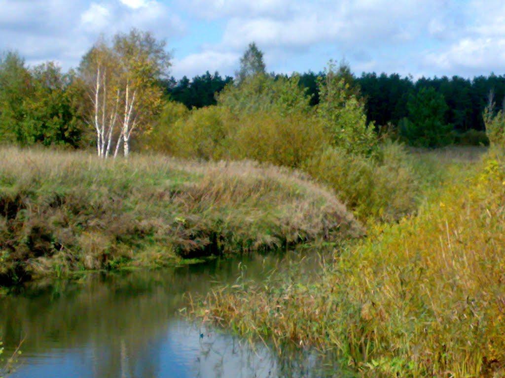 Неплюєве з panoramio.com - Неплюєве