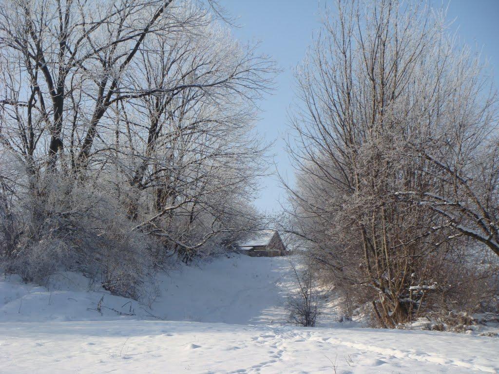 Щучинці з panoramio.com - Щучинці