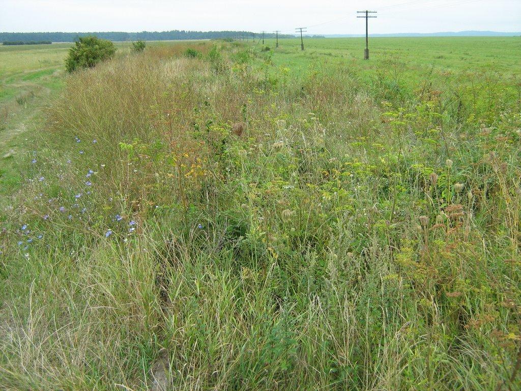 Рава-Руська з panoramio.com - Рава-Руська