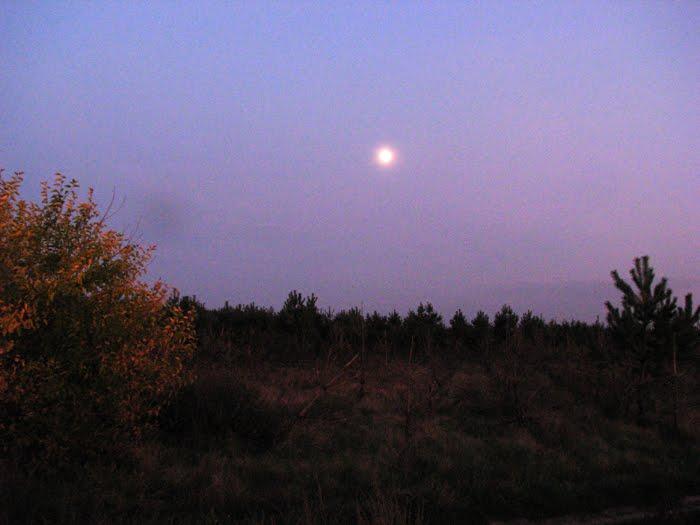 Горошине з panoramio.com - Горошине