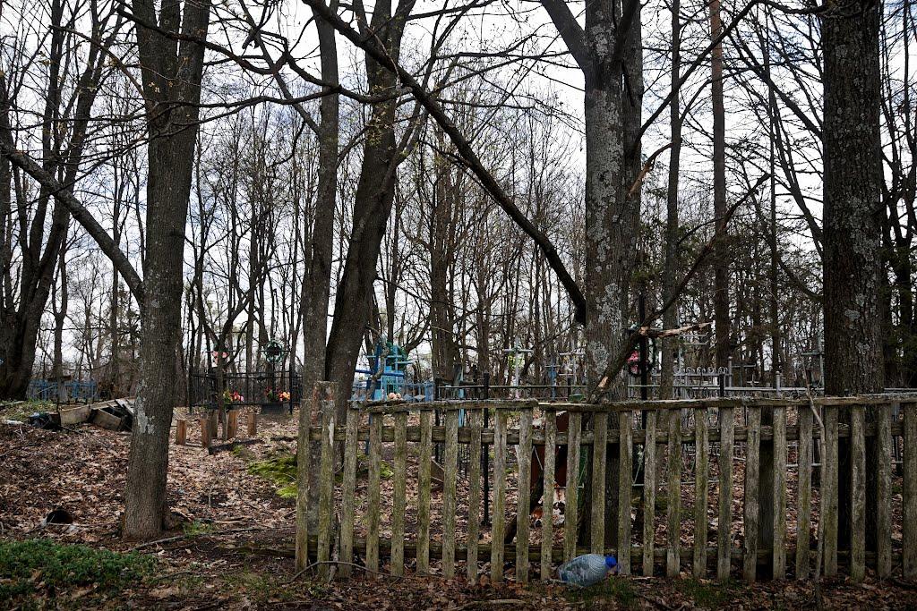 Черемошна з panoramio.com - Черемошна