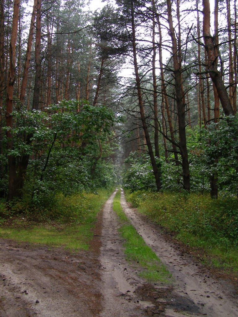 Зарічне з panoramio.com - Зарічне