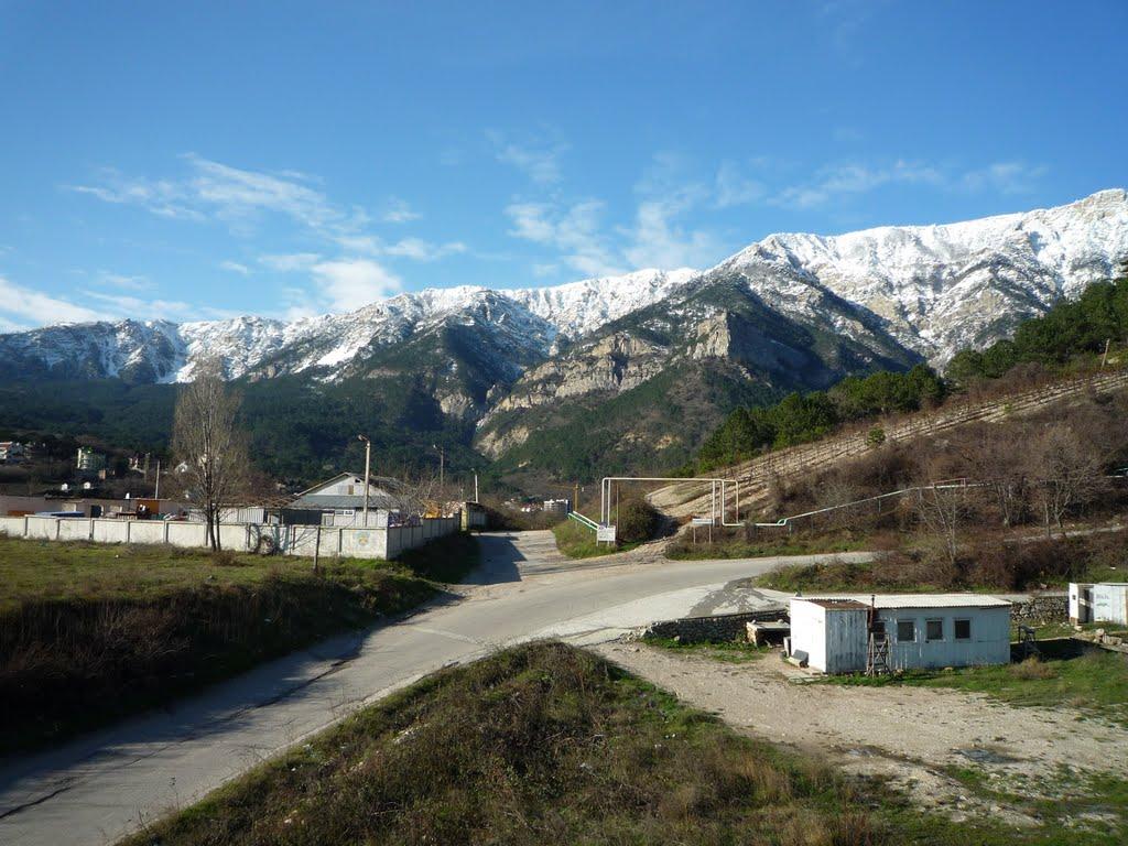 Виноградне з panoramio.com - Виноградное