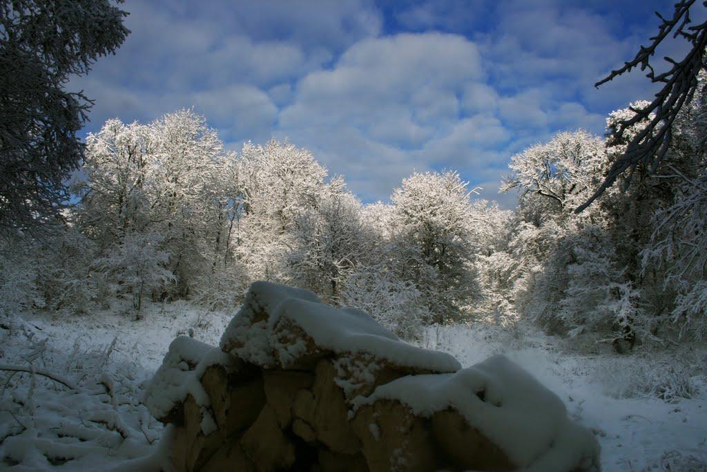 Соколине з panoramio.com (ч.2) - Соколиное