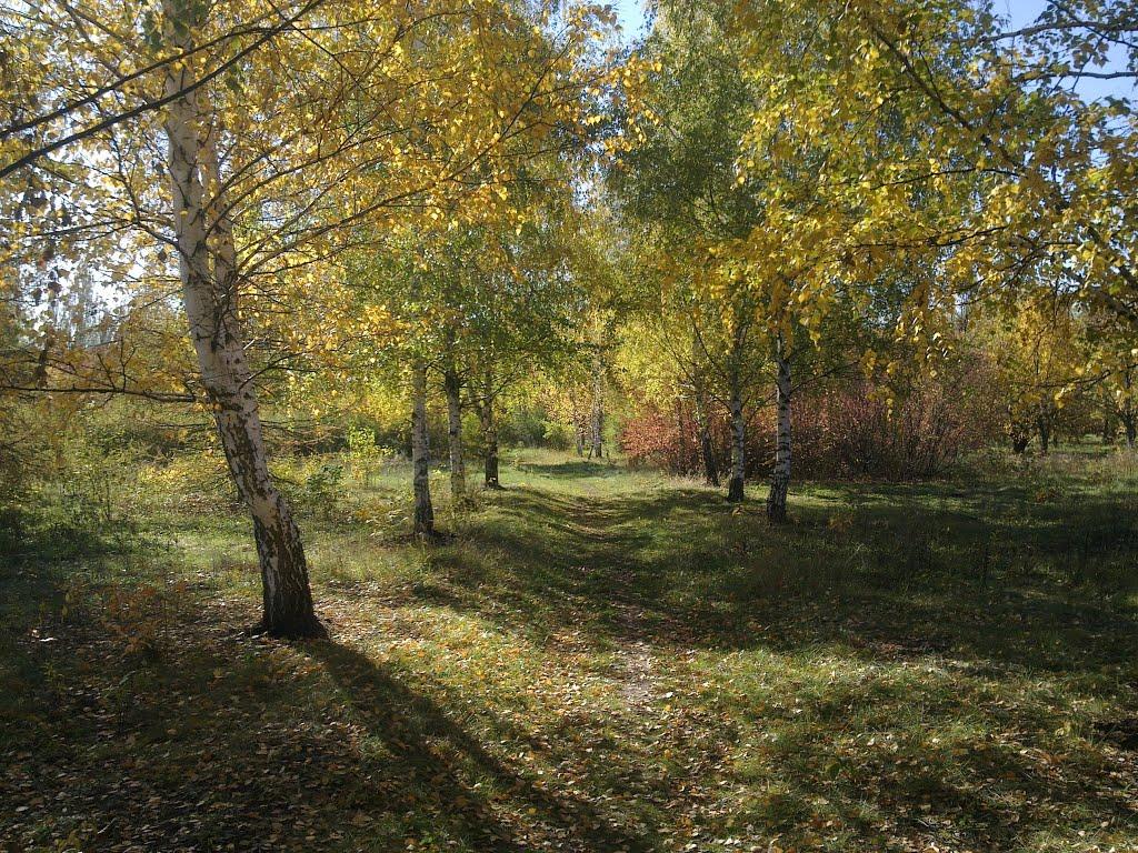 Комуніст з panoramio.com - Коммунист