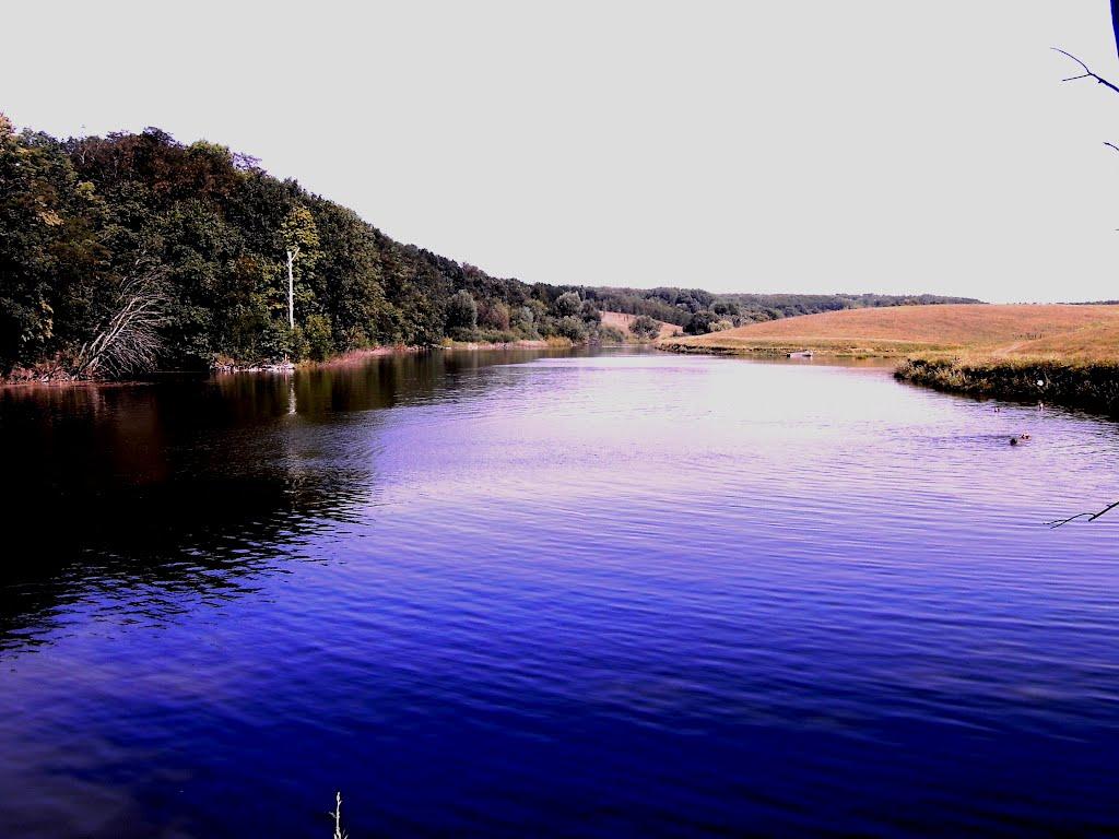 Борщагівка з panoramio.com - Борщагівка